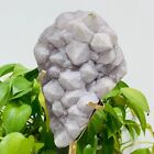 1750G Natural Amethyst Geode Mineral Specimen Crystal Quartz Energy Decoration