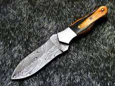 Authentic Hand Forged Damascus 8.0" Dagger Knife - Hard Wood Handle - Fr-6169