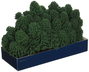 Super Scenic Tree, Evergreen 1-2" (55) - Picture 1 of 1