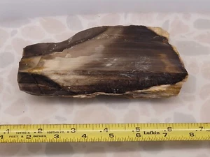 Expositor madera petrificada ágatizada opalizada - Imagen 1 de 4