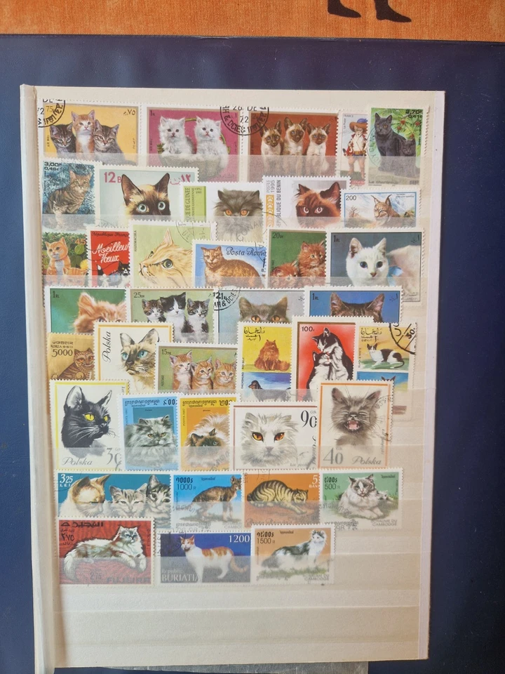 + de 35 Timbres chats   ( lot K 420 ) - Photo 1/1