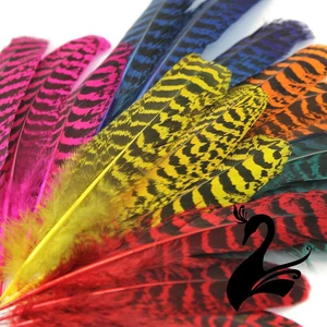 Feather Peacock Wing Full Quill 10-20cm (Pack of 10) - Craft Millinery Fly Fi... - Picture 1 of 8