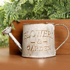 Vintage Flower Pot Succulent Planter Metal Plant Bucket Vertical Garden De`Eo