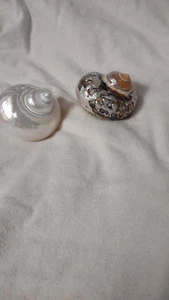 2 Decorative Painted Beach Seashells - Picture 1 of 2