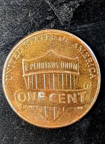 2010 Penny Error On Reverse Cover