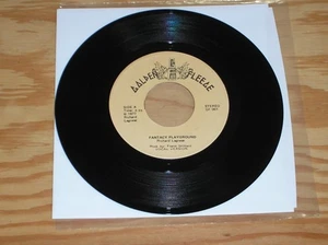 The Strangers 45 Fantacy Playground '77 Lo-Fi Psych Disco Electro Mellotron HEAR - Picture 1 of 2