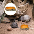  Bol de nourriture pour animaux de compagnie escalade en résine reptile serpent tortues alimentation