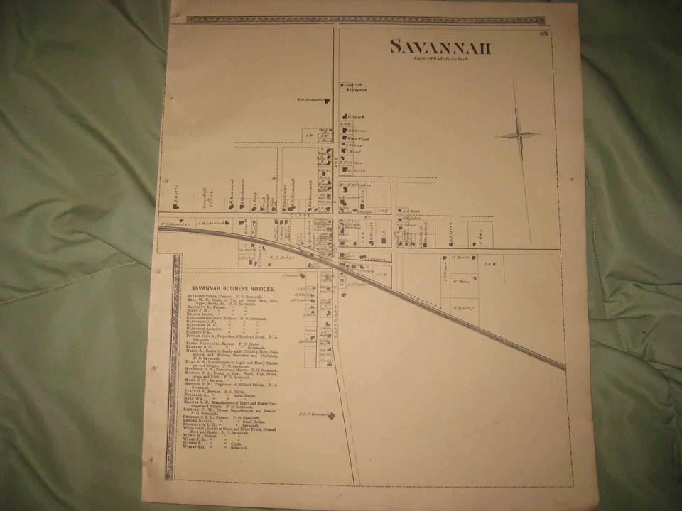 EXCELENTE MAPA RARO ANTIGUO 1874 SAVANNAH WAYNE COUNTY NUEVA YORK COLOREADO A MANO RARO SIN RESERVA Foto 1 de 1