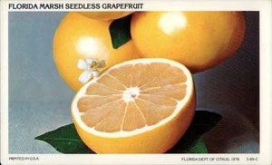 Florida Seedless Grapefruit Dept of Citrus 1978 FL Non-Postcard Back - Picture 1 of 2