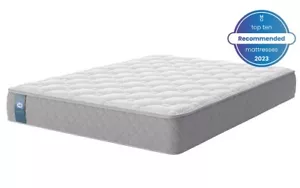 New NQP King Sealy Ortho Plus Mattress- 1/2 Price LOCAL DELIVERY ONLY - Picture 1 of 1