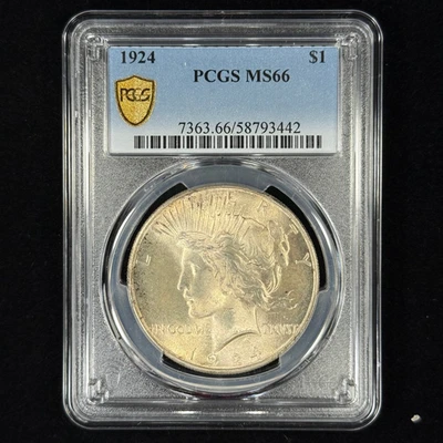 1924 $1 MS66 Toned Peace Dollar - PCGS Gold Shield - Lovely Patina Great Coin - Image 1 of 3