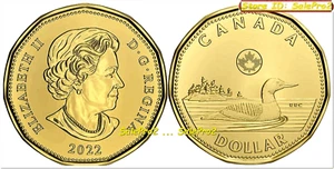 CANADA 2022 CANADIAN WILDLIFE LOON QUEEN ELIZABETH BU LOONIE $1 DOLLAR COIN UNC - Picture 1 of 2