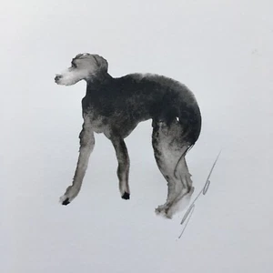 Small Original signed Ink sketch painting of a Whippet Greyhound Lurcher - Picture 1 of 7