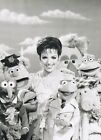Liza Minelli with The Muppets (1970s) - Miniature Poster & Card Frame