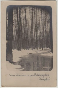 Orig. 1910s snow melt in the Ukrainian swamps, artistic RPPC - Picture 1 of 2