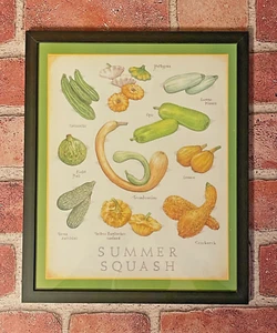 Cook's Illustrated "SUMMER SQUASH" • 11 1/2" x 9 1/2" Backcover Gerahmter Druck - Bild 1 von 1
