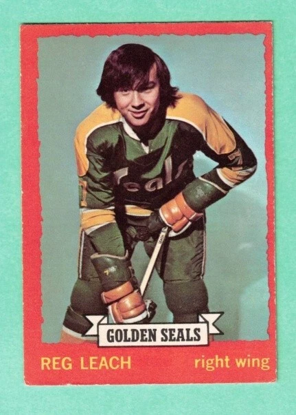 (1) REGGIE LEACH  1973-74 O-PEE-CHEE # 84 FLYERS VG CARD (J4357)