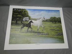 Karen Kasper The Bluebonnets Limited Edition Signed Litho Print Arabian Horse - Picture 1 of 4