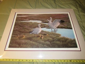 Nancy Howe "Summer above the 60th Parallel" signed/numbered 30" x 23" Matted - Picture 1 of 10