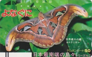 Télécarte ANCIENNE JAPON  ANIMAL PAPILLON - BUTTERFLY JAPAN FRONT BAR phonecard - Foto 1 di 1