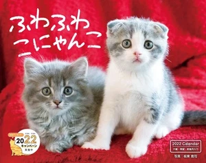 Fluffy Kitty (Impress Kalender 2022)_ - Bild 1 von 1