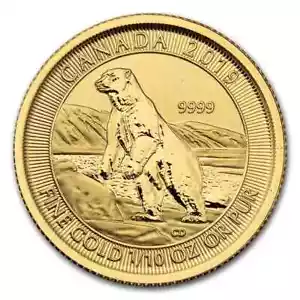2019 CANADA GOLD ROYAL CANADIAN MINT POLAR BEAR 1/10 OZ GOLD COIN - Picture 1 of 2
