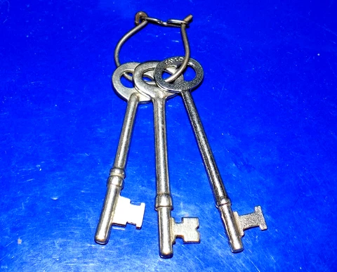 Lot of Three Vintage Shiny Bright Mortise Lock Skeleton Keys on a Cool Keyring Cover