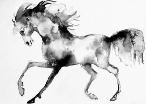 Black Horse running Art watercolor painting signed,stallion,equestrian,equine5x7 - Picture 1 of 6