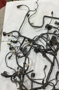 2005 02-06 Ducati Monster 620 M600 COMPLETE Wiring Harness Whole Bike - Picture 1 of 19