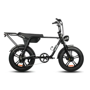 Fatfish Biggie 20AH Fat Tyre E-Bike - Picture 1 of 18