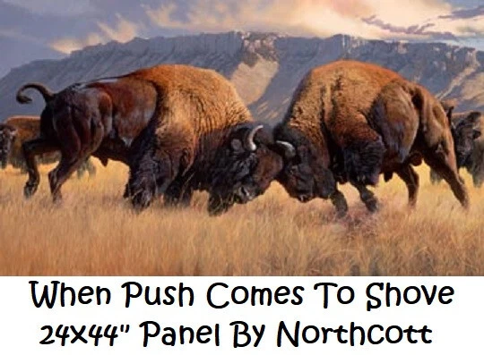 Colcha When Push comes to Shove Buffalo Bison tecido algodão por Northcott Panel - Imagem 1 de 1