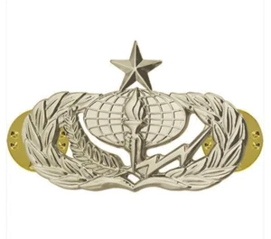 Vanguard AIR FORCE BADGE: SERVICES: SENIOR - REGULATION SIZE - Picture 1 of 1