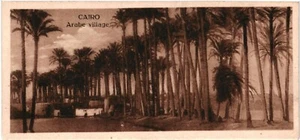 CPA Carte Postale Egypte Cairo Arabe village VM95010ok - Picture 1 of 2