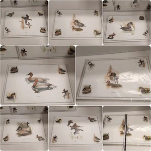 Rare 6 X Vintage Vinyl Duck Placemats Mel Hunter Large Mats 1969 In VGC - Picture 1 of 12