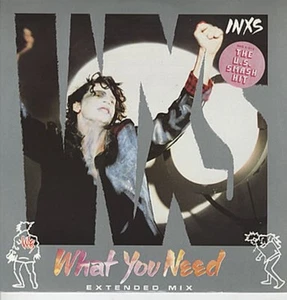 Inxs What You Need 2 mixes, Burn For You 12" - Picture 1 of 1