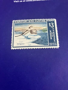 US #RW34 1967 OLD SQUAWS FEDERAL MIGRATORY DUCK / BIRD HUNTING STAMP Mint N/H - Picture 1 of 2