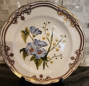 Spode Stafford Blumen Lida & Akazie 7" Teller SCHWER ZU FINDEN - Bild 1 von 6