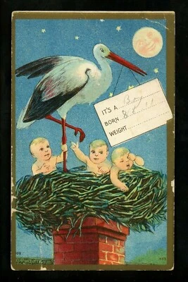 Anuncio de nacimiento postal cigüeña y bebé saludos en relieve vintage 1911 Foto 1 de 2