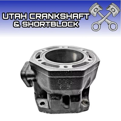 Re-Plated Arctic Cat 1000 Cylinder 81mm STD Thudner cat 91B4 4C4E1 - Image 1 of 4