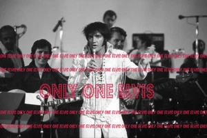 1970 MGM "THAT'S THE WAY IT IS" Singing Superstar ELVIS PRESLEY (FOTO) NEU 048 - Bild 1 von 1