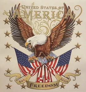 ALL AMERICAN OUTFITTERS UNITED STATES OF AMERICA EAGLE FREEDOM POCKET SHIRT - Foto 1 di 5