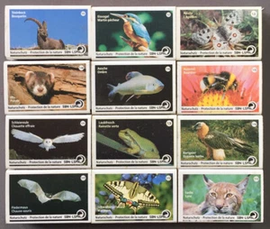Lot de 12 boîtes d'allumettes, thème "animaux" (Ba/173) - Picture 1 of 3