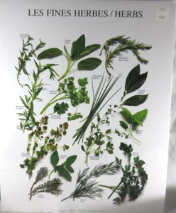 Atelier Nouvelles Les Fines Herbes/Herbs Poster ARM 127 Sealed NEW - Picture 1 of 3