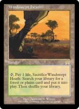 WOTC MtG Onslaught Windswept Heath (R) EX