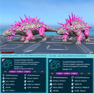 High Stat Black and Pink Ankylosaurus Mating Pair - Anky - Ark Ascended PVE - Picture 1 of 3