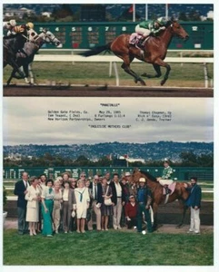 Vintage Pferderennen 8 x 10 Sieger Foto - Phaetalle 26. Mai 1985 GG Fields CA - Bild 1 von 2