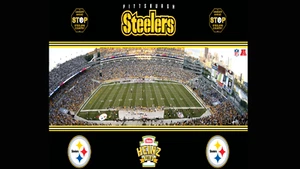 Pittsburgh Steelers Stadium Inspired Multicolor License Plate New - Picture 1 of 1