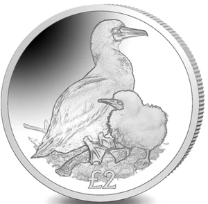 British Indian Ocean Territory 2 Pounds 2019 BU "Red Footed Booby" - Bild 1 von 2