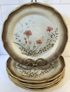 (5) Mikasa Whole Wheat Jardiniere E8016 Dinner Plate 10 3/4” Excellent Con - Picture 1 of 13