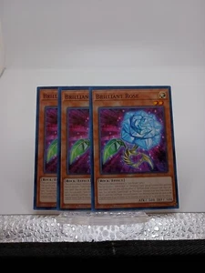 Yugioh! 3x Strahlende Rose POTE-DE021 Common 1. Yu-Gi-Oh! SCHNELLER VERSAND x3 - Bild 1 von 2